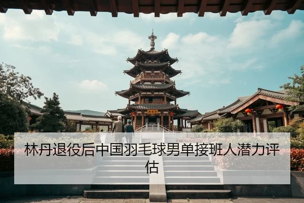 林丹退役后中国羽毛球男单接班人潜力评估