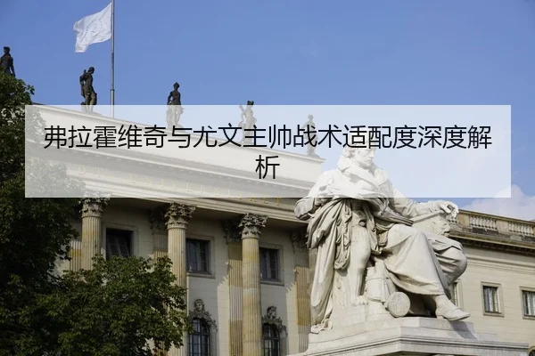 弗拉霍维奇与尤文主帅战术适配度深度解析